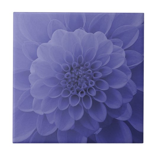Blue Dahlia Fliese (Vorderseite)