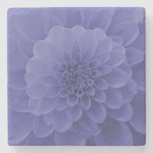 Blue Dahlia Steinuntersetzer