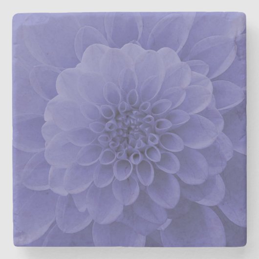 Blue Dahlia Steinuntersetzer (Vorderseite)