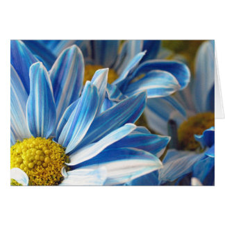 Blue Daises #2