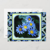 Blue Daisies Postkarte (Vorne/Hinten)