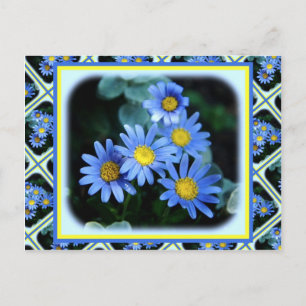 Blue Daisies Postkarte