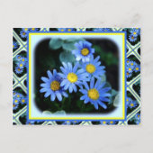 Blue Daisies Postkarte (Vorderseite)