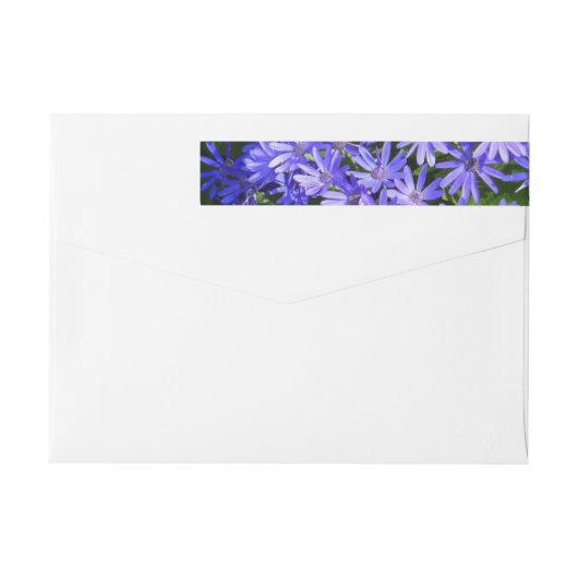 Blue Daisy ähnliche Blume Naturfotografie (Rückseite)