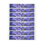 Blue Daisy ähnliche Blume Naturfotografie (Bogen)