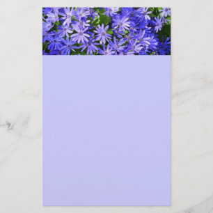 Blue Daisy ähnliche Blume Naturfotografie Briefpapier