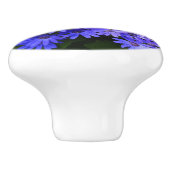 Blue Daisy ähnliche Blume Naturfotografie Keramikknauf (Seitenansicht)