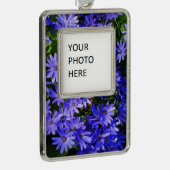 Blue Daisy ähnliche Blume Naturfotografie Rahmen-Ornament Silber (Rechts)