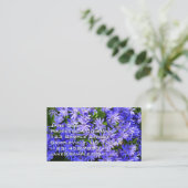 Blue Daisy ähnliche Blume Naturfotografie Visitenkarte (Stehend Vorderseite)