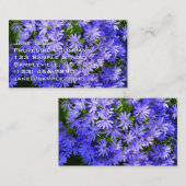 Blue Daisy ähnliche Blume Naturfotografie Visitenkarte (Vorne/Hinten)