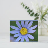 Blue Daisy | Blue Beach Song™ Postkarte (Stehend Vorderseite)