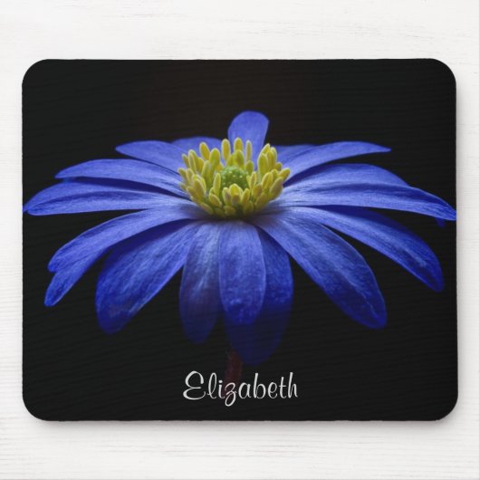 Blue Daisy Blume auf Black Personalisiert Mousepad (Vorne)