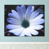 Blue Daisy Blume Canvas Print Leinwanddruck (Insitu (Holzboden))