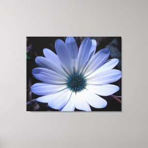 Blue Daisy Blume Canvas Print Leinwanddruck