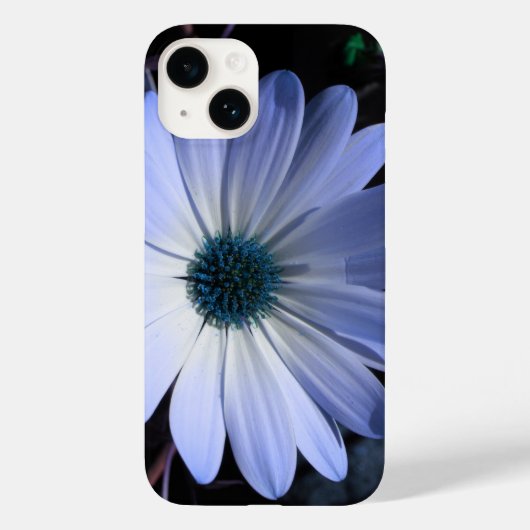Blue Daisy Blume Case-Mate iPhone Hülle (Rückseite)