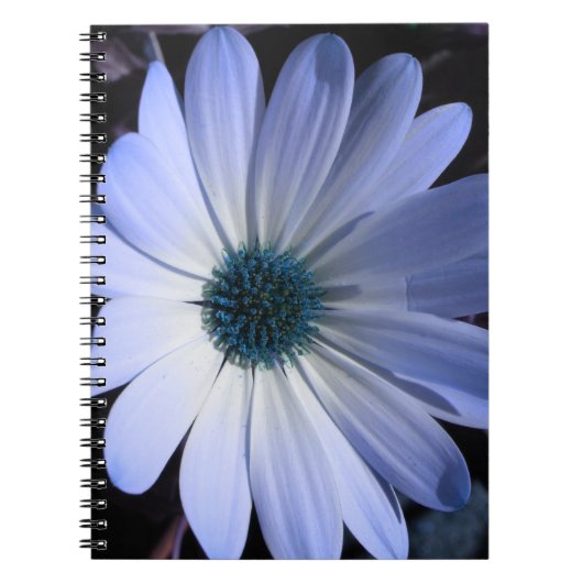 Blue Daisy Blume Notebook Notizblock (Vorderseite)