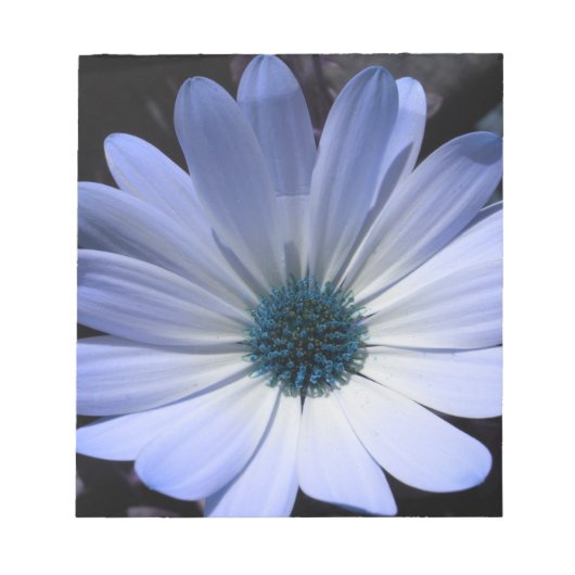 Blue Daisy Blume Notepad Notizblock (Vorderseite)