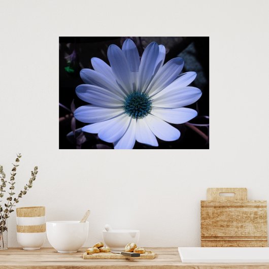 Blue Daisy Blume Poster (Küche)