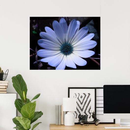 Blue Daisy Blume Poster (Heimbüro)