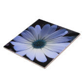 Blue Daisy Blume Tile Fliese (Seite)