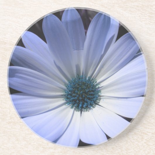 Blue Daisy Blume Untersetzer (Vorne)