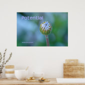 Blue Daisy Bud Foto Print/Poster - "Potenzial" Poster (Küche)