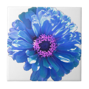 Blue Daisy Fliese
