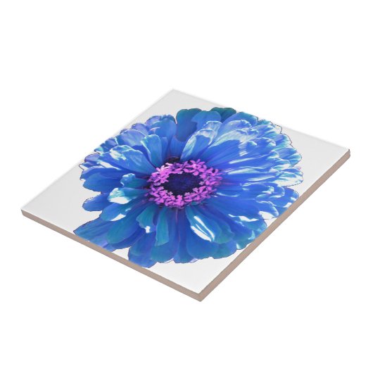 Blue Daisy Fliese (Seite)