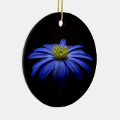 Blue Daisy Gerbera Blume auf schwarzem Hintergrund Keramik Ornament (Rechts)