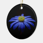 Blue Daisy Gerbera Blume auf schwarzem Hintergrund Keramik Ornament (Links)