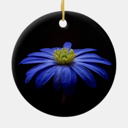Blue Daisy Gerbera Blume auf schwarzem Hintergrund Keramik Ornament (Hinten)