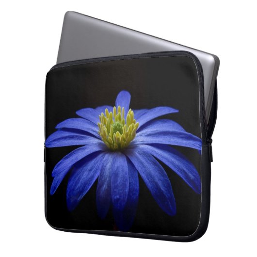 Blue Daisy Gerbera Blume auf schwarzem Hintergrund Laptopschutzhülle (Vorderseite Links)