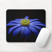 Blue Daisy Gerbera Blume auf schwarzem Hintergrund Mousepad (Mit Mouse)
