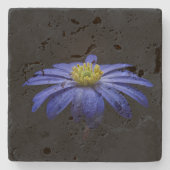 Blue Daisy Gerbera Blume auf schwarzem Hintergrund Steinuntersetzer (Vorderseite)