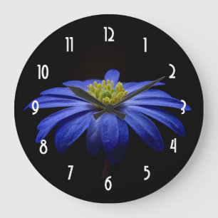 Blue Daisy Gerbera Flower on a Black background Große Wanduhr
