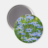 Blue Daisy Magnet (Vorderseite/Rückseite)