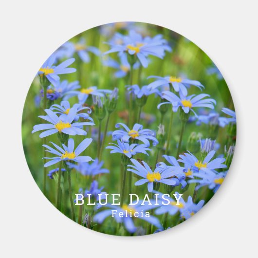 Blue Daisy Magnet (Vorne)