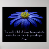 Blue Daisy mit Yeats Zitat Poster (Vorne)