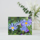 Blue Daisy [Postcard] Postkarte (Stehend Vorderseite)
