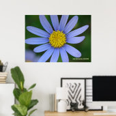Blue Daisy Poster (Heimbüro)