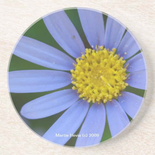 Blue Daisy - Untersetzer (Vorne)