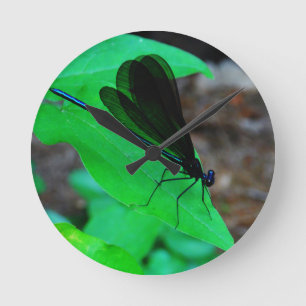 Blue Damselfly on a green leaf. Runde Wanduhr