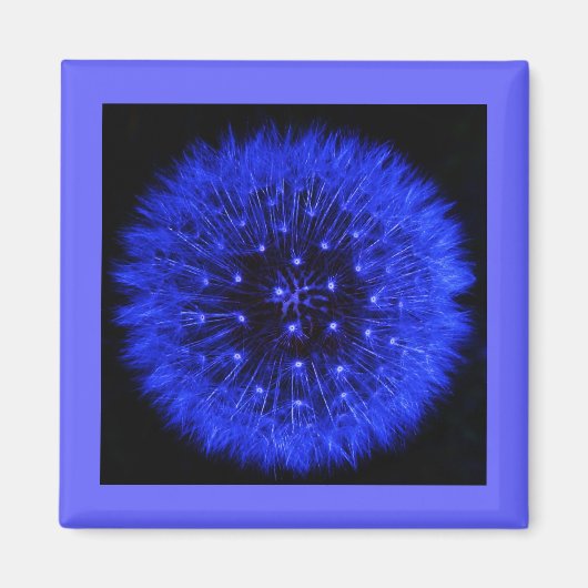Blue Dandelion Puff Design Magnet (Vorne)
