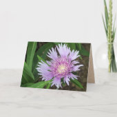 Blue Danube Stokes Aster Blume Karte (Vorderseite)
