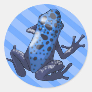 Blue Dart Frog (aktualisiert) Blue Stripe Sticker