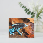 Blue Dart Frog Dendrobates Tinctorius Postkarte (Stehend Vorderseite)