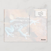 Blue Dart Frog Dendrobates Tinctorius Postkarte (Rückseite)