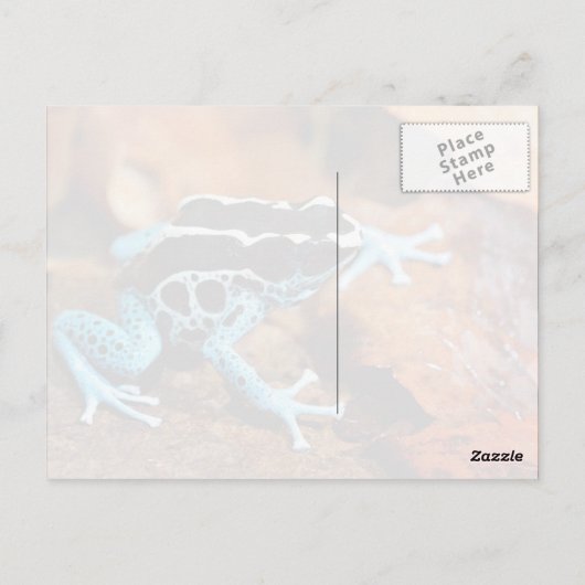 Blue Dart Frog Dendrobates Tinctorius Postkarte (Rückseite)