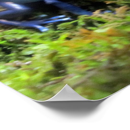 Blue Dart Frog Poster (Ecke)