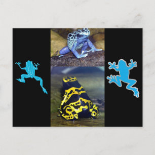 BLUE DART FROG POSTKARTE